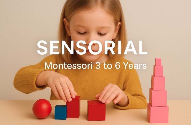 Child working with Montessori sensorial materials